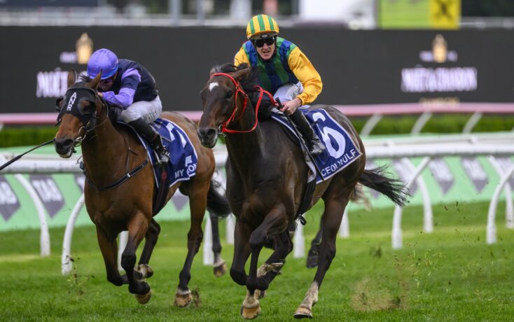 为网球迷中 为网球迷中