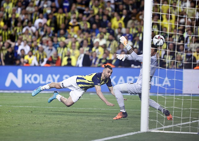 足至关重要 足至关重要