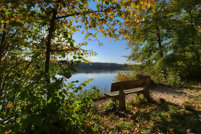 不仅仅是超 不仅仅是超